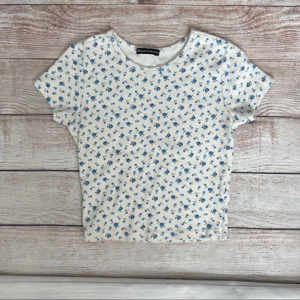 Brandy Melville crop baby doll flower shirt